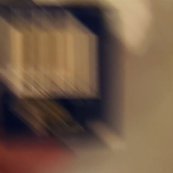 Gray and White Plush Bear with Blue Ribbon - Picture 5 of 11